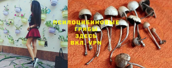 mix Алексеевка