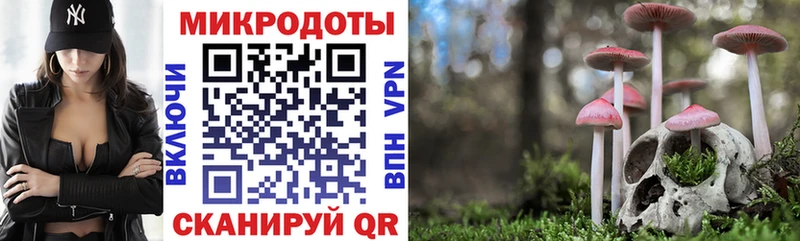 где можно купить наркотик Сельцо Псилоцибиновые грибы Magic Shrooms
